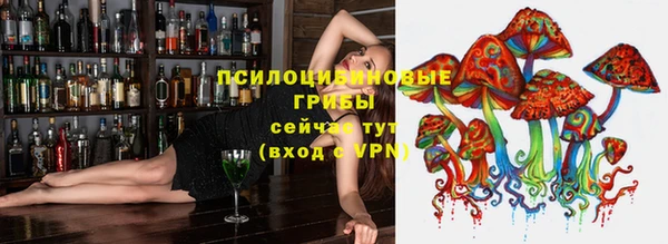 spice Липки